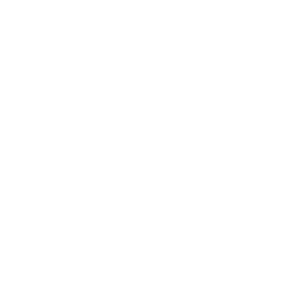 logo light